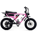 Flight Risk FR555 E-Bike Pink ATV08XSPK hero image