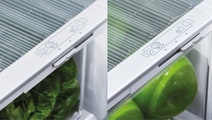 Fisher & Paykel 403L ActiveSmart Bottom Mount Fridge E402BRXFD5 hero image