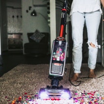 Shark Corded Upright Vacuum with Self Cleaning Brushroll NZ801 hero image