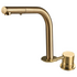 Rogerseller Tonic Hob Sink Mixer and Outlet with Pull Out Spray - Brushed Gold 360601375214 image NaN
