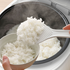 Panasonic Premium Rice and Multi Cooker SR-DL104WST image NaN