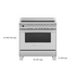 Fisher & Paykel 90cm Series 9 Classic Freestanding Induction Oven Stainless Steel OR90SCI6X1  image NaN