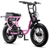 Flight Risk FR303 E-Bike Pink FR-303PINK image NaN