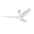 Big Ass Fans Haiku L White 52 Inch Ceiling Fan with LED 128mm Drop Tube HAIKULW52128MMLED image NaN