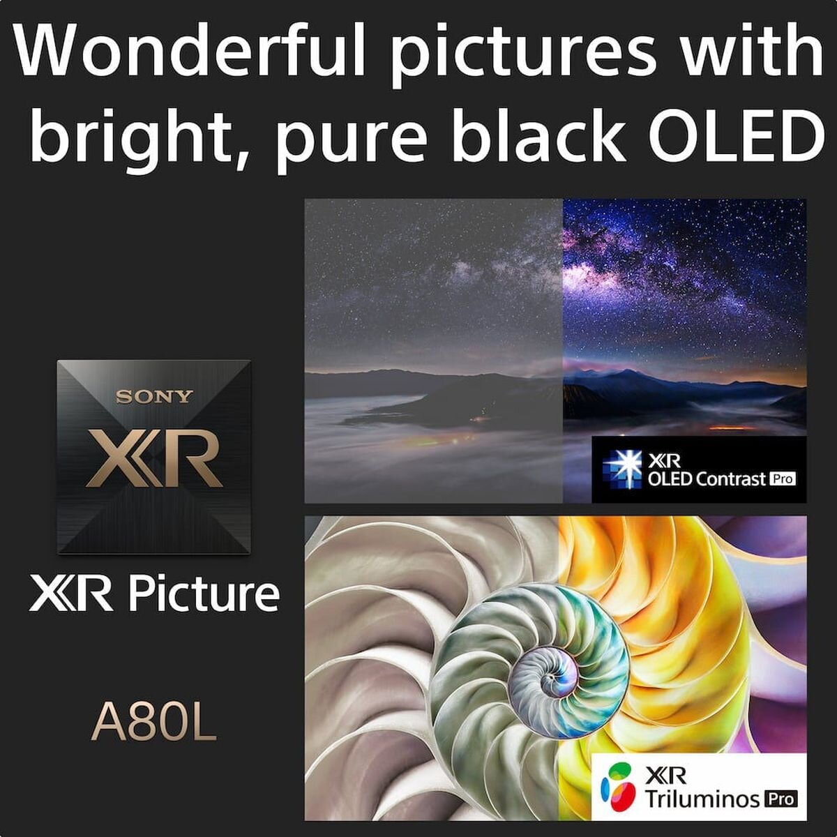 Sony Bravia 55 Inch A80L XR OLED 4K Google TV XR55A80L hero image