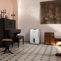 Delonghi 25L AriaDry Compact Dehumidifier DDS25 hero image