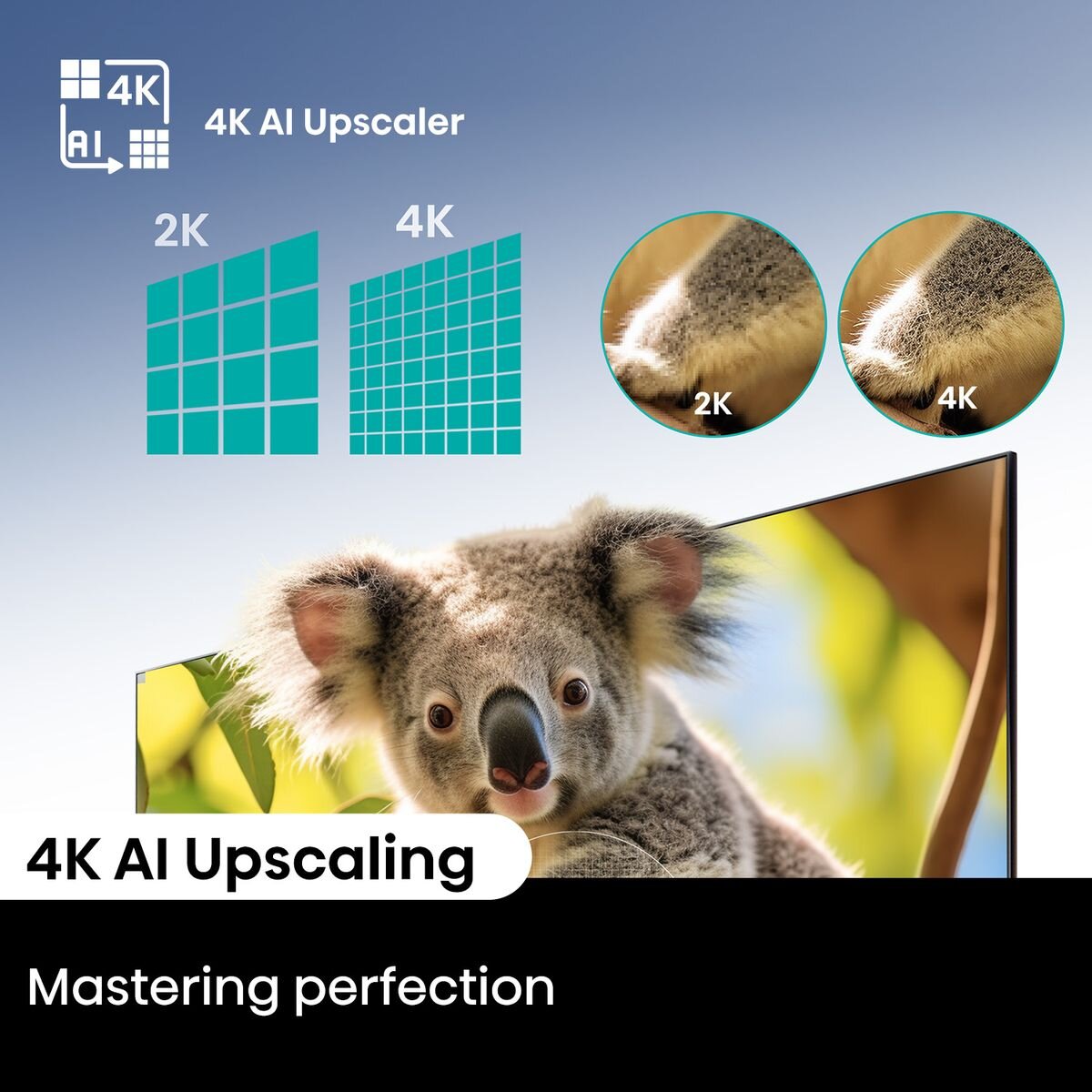 Hisense 55 Inch Q6NAU 4K QLED Smart TV 55Q6NAU hero image
