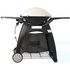 Weber Family Q Q3100 Natural Gas BBQ 56067224 image NaN