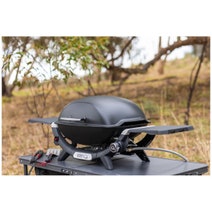 Weber Q2000N Portable LPG BBQ Black 28310024 hero image