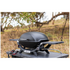 Weber Q2000N Portable LPG BBQ Black 28310024 image NaN
