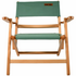 BlackWolf Shore Folding Beech Chair Shale Green 32S002011581000 image NaN