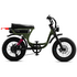 Flight Risk FR333 E-Bike Olive FR-333OLIVE image NaN