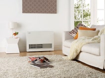 Rinnai EnergySaver Flued Natural Gas Heater K559FTN hero image