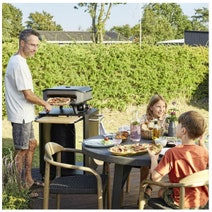 Cozze 13 Inch Pizza Oven with Cover CZ90551CZ90333 hero image