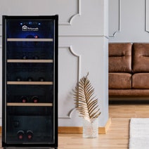 Triomph 116 Bottle Single Zone Wine Fridge TKS116VN hero image