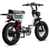 Flight Risk FR333 E-Bike White FR-333WHITE image NaN