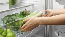 Fisher & Paykel 519L ActiveSmart Bottom Mount Fridge RF522BRGX6 hero image