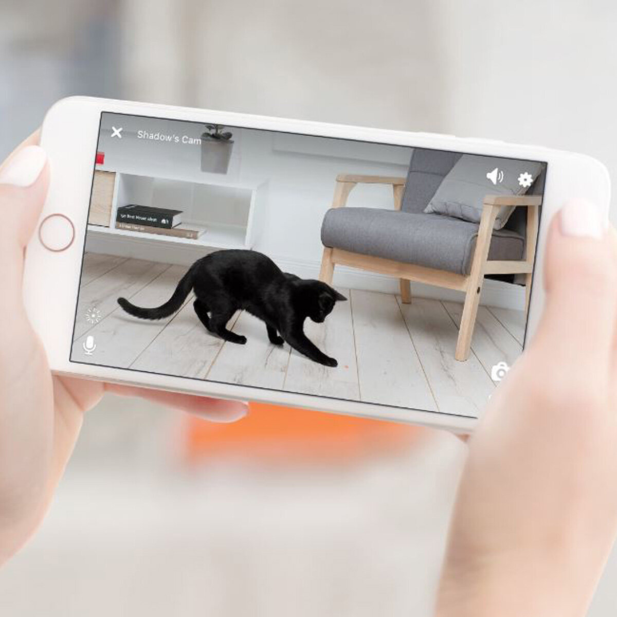 interactive wifi pet camera
