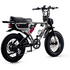 Flight Risk FR555 E-Bike Silver FR-555SILVER image NaN