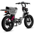 Flight Risk FR333 E-Bike Silver FR-333SILVER image NaN