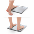 Soehnle Style Sense Safe 200 Digital Bathroom Scales S63866 image NaN