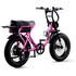 Flight Risk FR303 E-Bike Pink FR-303PINK image NaN