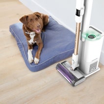 Shark Cordless Detect Pro with Auto Empty System IW3611 hero image