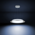 Philips Hue Muscari Pendant - HUEMUSCARIPD image NaN