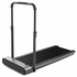 Lifespan Fitness Walkingpad Pro Treadmill LFCR-TMWPADPRO image NaN