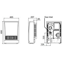 Rinnai EnergySaver Flued Natural Gas Heater K309FTN hero image