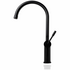 Titan Gooseneck Kitchen Mixer Tap Model 2 Black Steel TTBS2 image NaN