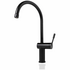 Titan Gooseneck Kitchen Mixer Tap Model 2 Black Steel TTBS2 image NaN