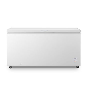 Freezer 2025 horizontal hisense