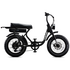 Flight Risk FR303 E-Bike Black FR-303BLACK image NaN