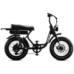 Flight Risk FR303 E-Bike Black FR-303BLACK hero image