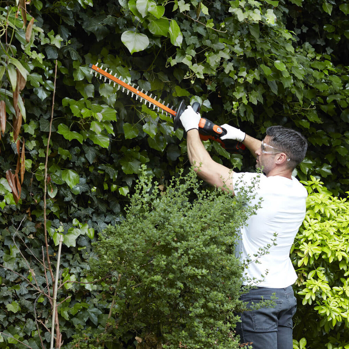Black and decker gtc36552pc 36v cordless hedge trimmer 550mm store