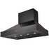 Schweigen 120cm BBQ Canopy Rangehood and ISO Drive SE Motor Pack CL8912BSEPAK image NaN
