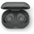B&O BeoPlay E8 Motion True Wireless Bluetooth In Ear Headphones Graphite 245948 image NaN