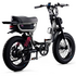 Flight Risk FR333 E-Bike Silver FR-333SILVER image NaN