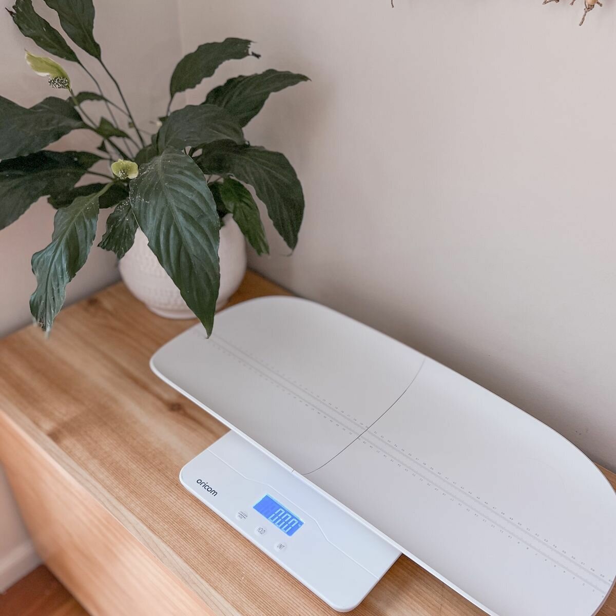 Oricom Digital Baby Scales DS1100 hero image