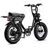 Flight Risk FR303 E-Bike Black FR-303BLACK image NaN