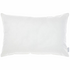 Linen House All Seasons Standard Pillow 1000 GSM Twin Pack 01809G709PK image NaN