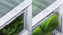 Fisher & Paykel 519L Bottom Mount Fridge RF522BRGW6 hero image
