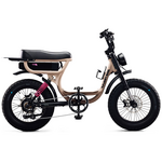 Flight Risk FR333 E-Bike Champagne ATV07DSCH hero image
