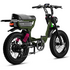 Flight Risk FR333 E-Bike Olive FR-333OLIVE image NaN