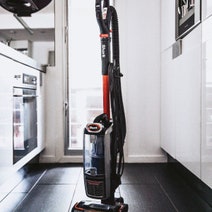Shark Corded Upright Vacuum with Self Cleaning Brushroll NZ801 hero image