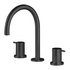 Rogerseller Tonic Basin Set - Matte Black 3606014011 image NaN