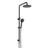 Rogerseller Tonic Dual Shower - Matte Black 3506002811 image NaN