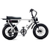 Flight Risk FR505 E-Bike White FR-505WHITE image NaN