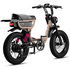 Flight Risk FR333 E-Bike Champagne FR-333CHAMPAGNE image NaN